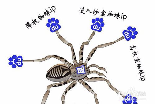 网站如何吸引蜘蛛爬行收录